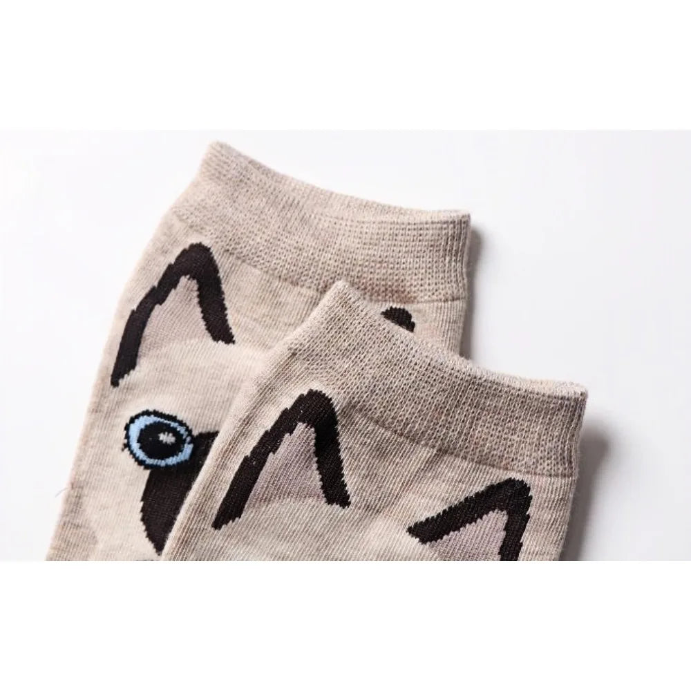 5 Pairs Women's Cute Cat Cartoon Short Socks Spring and Summer New