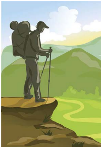 Men & Women's CoolMax Knee-High Socks, Nature Inspired Collection for